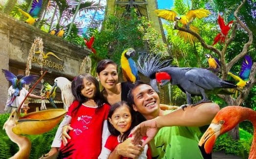 15 Tempat Wisata Di Bali Terpopuler dan Terbaru 17 Bali Bird Park