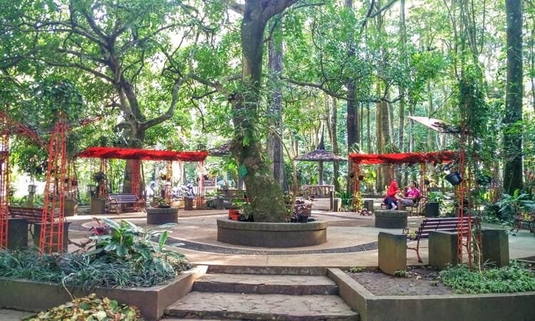 Taman Hutan Raya Ir. H. Djuanda bandung