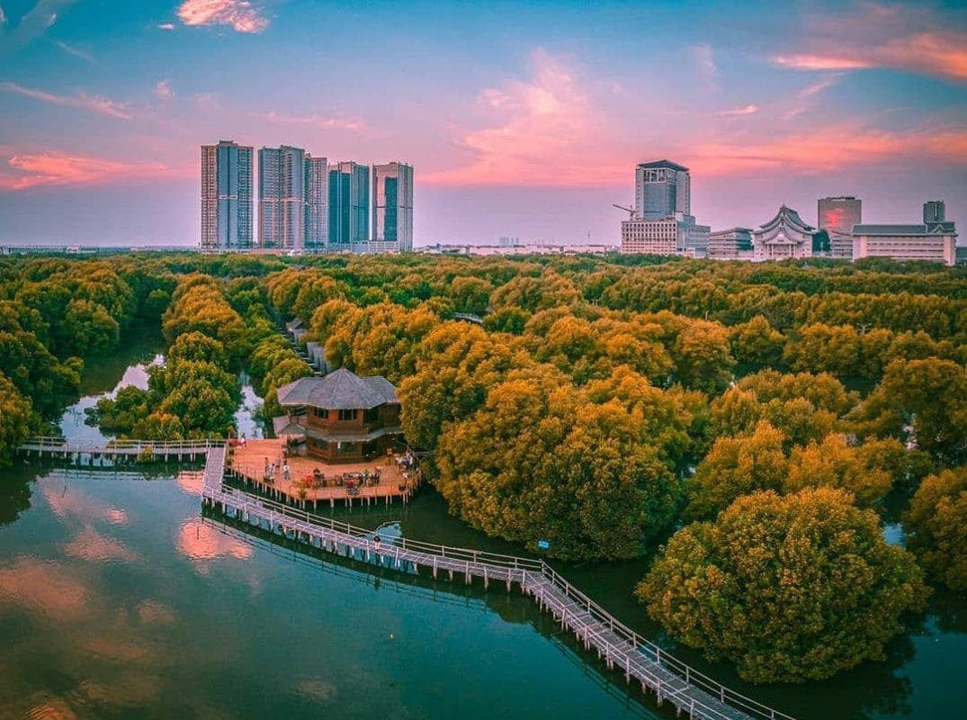 Taman Wisata Alam Mangrove Angke Kapuk